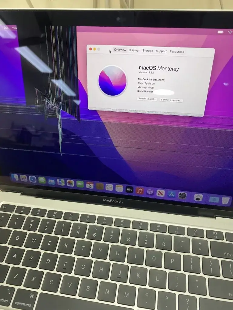 MacBook display fault